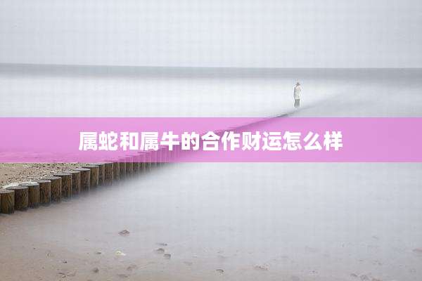 属蛇和属牛的合作财运怎么样