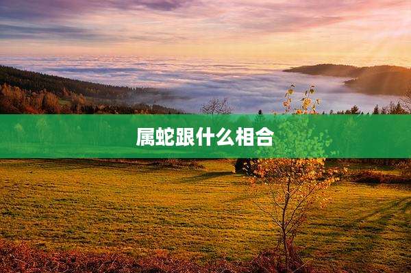 属蛇跟什么相合