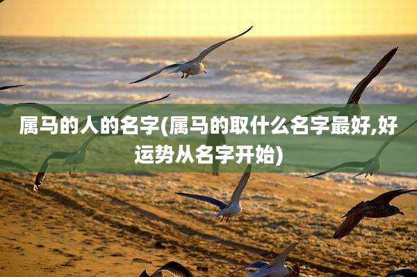 属马的人的名字(属马的取什么名字最好,好运势从名字开始)