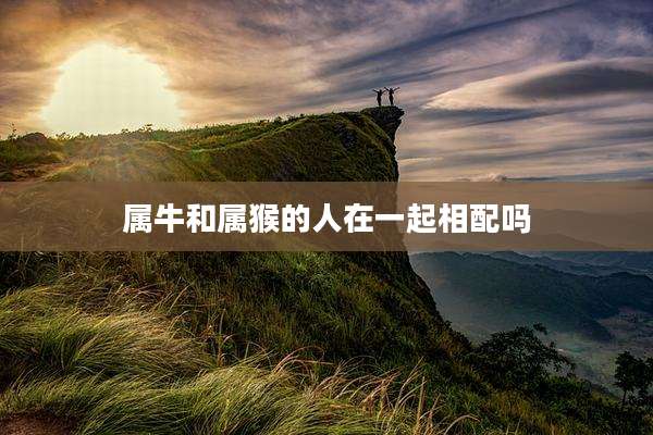 属牛和属猴的人在一起相配吗