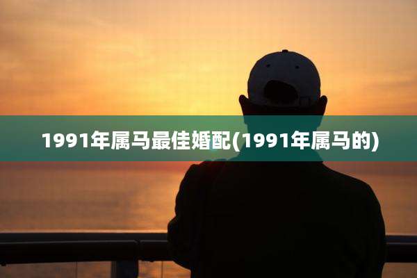 1991年属马最佳婚配(1991年属马的)