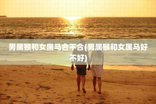 男属猴和女属马合不合(男属猴和女属马好不好)
