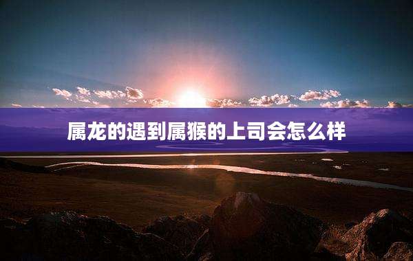 属龙的遇到属猴的上司会怎么样