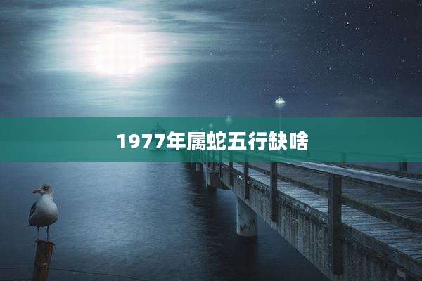 1977年属蛇五行缺啥