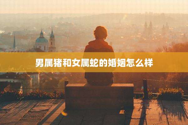 男属猪和女属蛇的婚姻怎么样