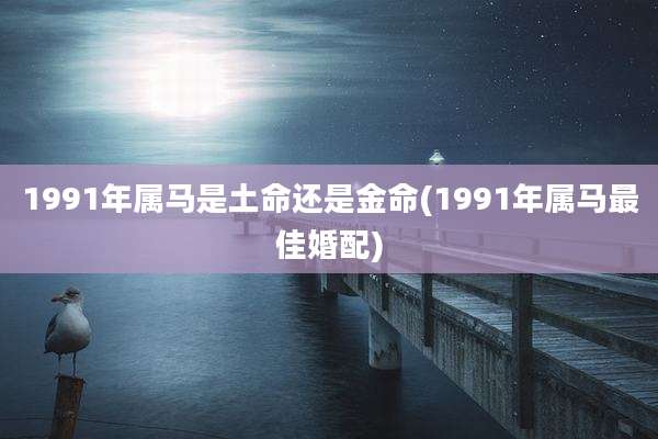 1991年属马是土命还是金命(1991年属马最佳婚配)
