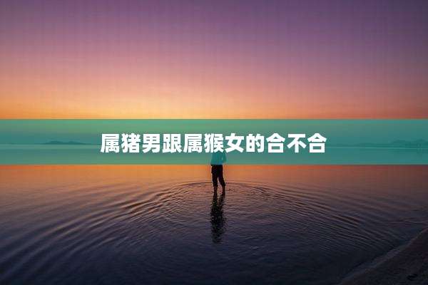 属猪男跟属猴女的合不合