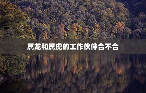 属龙和属虎的工作伙伴合不合