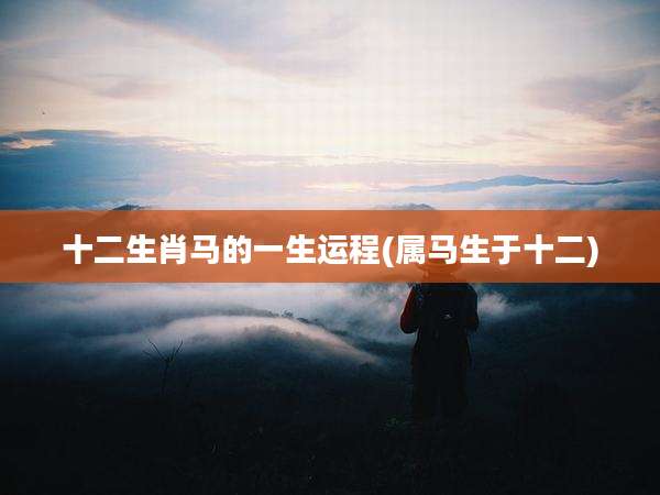 十二生肖马的一生运程(属马生于十二)