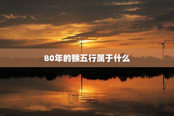 80年的猴五行属于什么