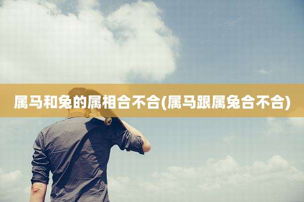 属马和兔的属相合不合(属马跟属兔合不合)
