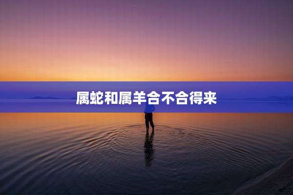 属蛇和属羊合不合得来