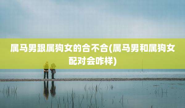 属马男跟属狗女的合不合(属马男和属狗女配对会咋样)