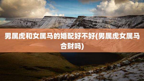 男属虎和女属马的婚配好不好(男属虎女属马合财吗)