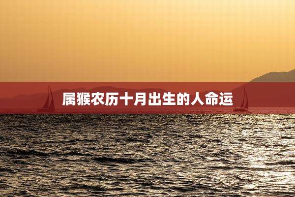 属猴农历十月出生的人命运