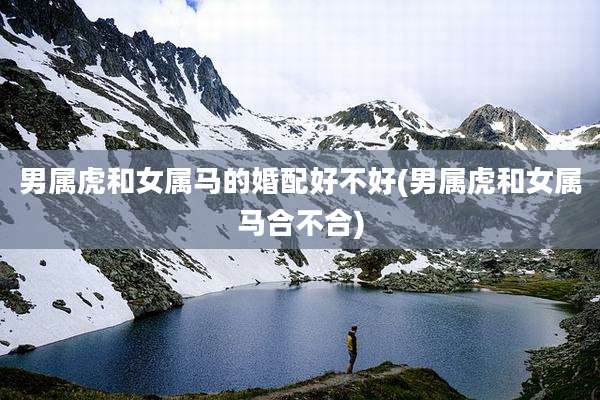 男属虎和女属马的婚配好不好(男属虎和女属马合不合)