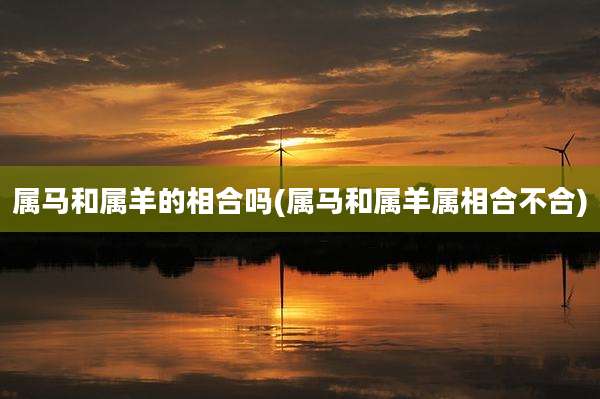 属马和属羊的相合吗(属马和属羊属相合不合)