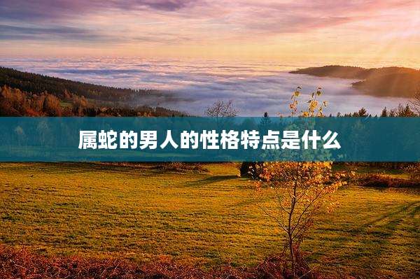 属蛇的男人的性格特点是什么