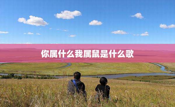 你属什么我属鼠是什么歌