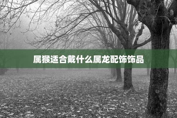 属猴适合戴什么属龙配饰饰品