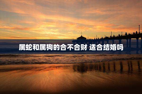 属蛇和属狗的合不合财 适合结婚吗