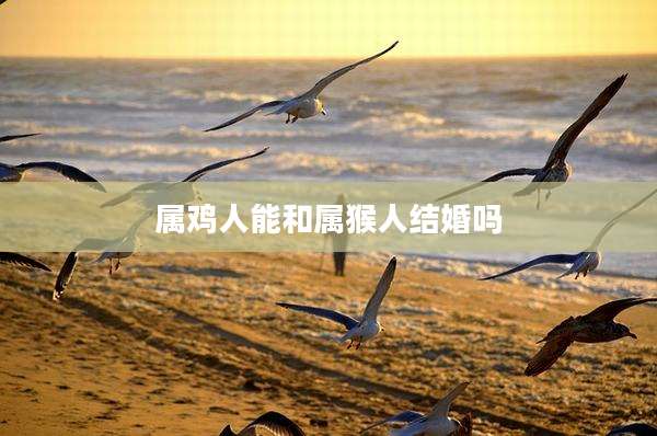 属鸡人能和属猴人结婚吗