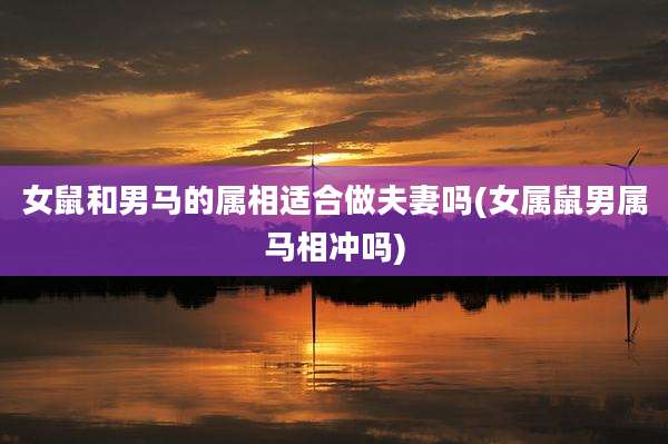 女鼠和男马的属相适合做夫妻吗(女属鼠男属马相冲吗)