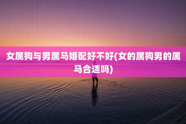 女属狗与男属马婚配好不好(女的属狗男的属马合适吗)
