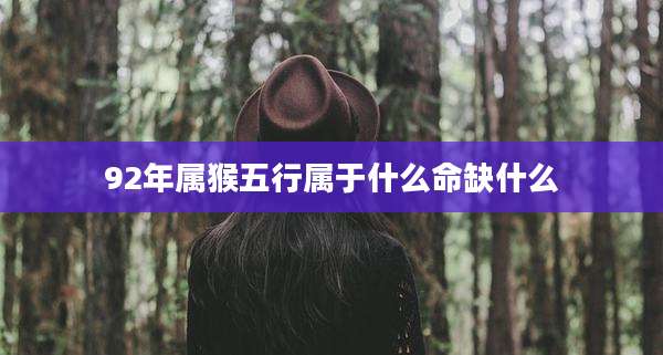 92年属猴五行属于什么命缺什么