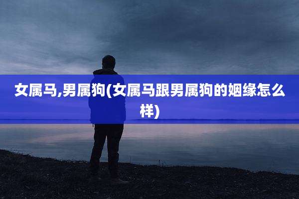 女属马,男属狗(女属马跟男属狗的姻缘怎么样)