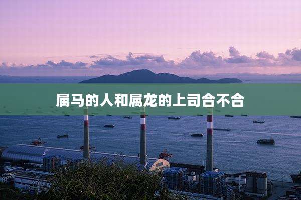 属马的人和属龙的上司合不合