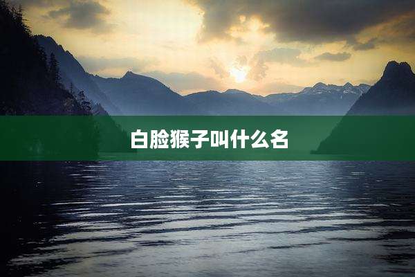 白脸猴子叫什么名