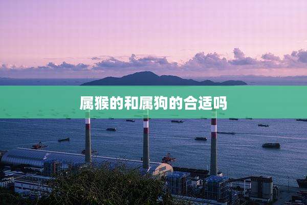 属猴的和属狗的合适吗