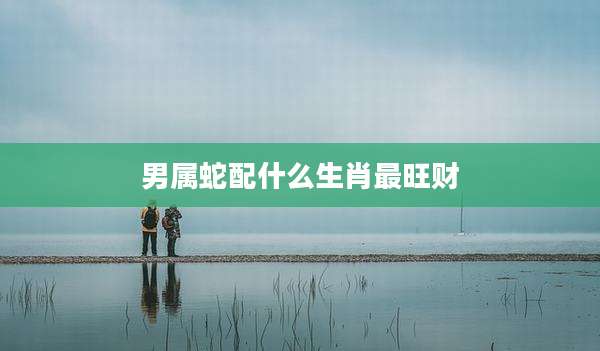 男属蛇配什么生肖最旺财