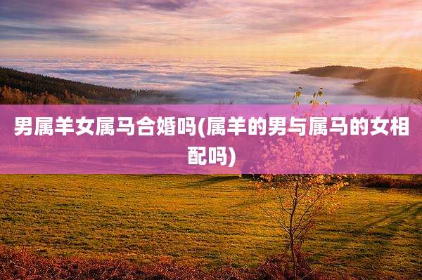 男属羊女属马合婚吗(属羊的男与属马的女相配吗)