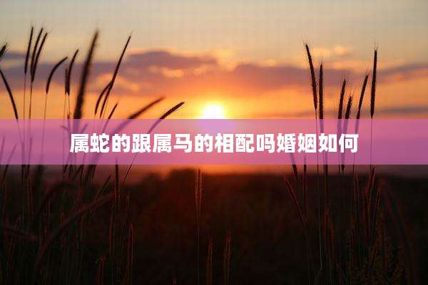 属蛇的跟属马的相配吗婚姻如何