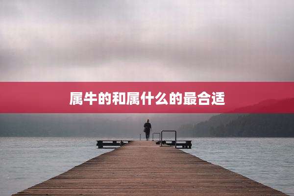 属牛的和属什么的最合适