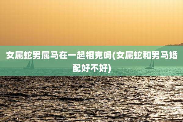 女属蛇男属马在一起相克吗(女属蛇和男马婚配好不好)