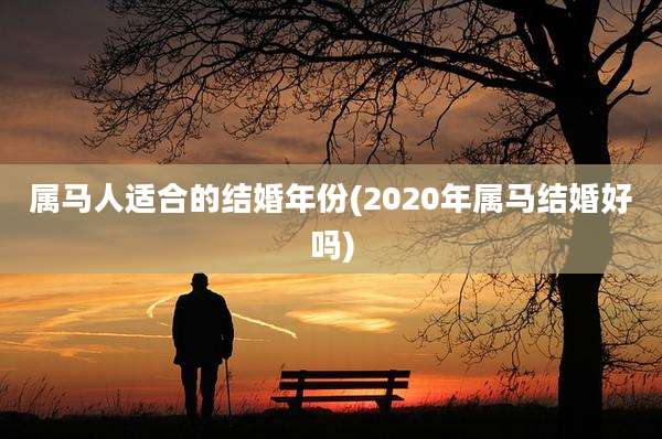 属马人适合的结婚年份(2020年属马结婚好吗)