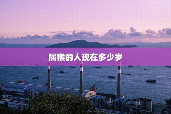 属猴的人现在多少岁