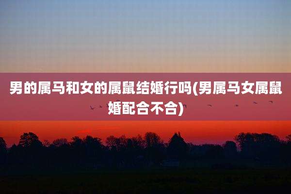 男的属马和女的属鼠结婚行吗(男属马女属鼠婚配合不合)