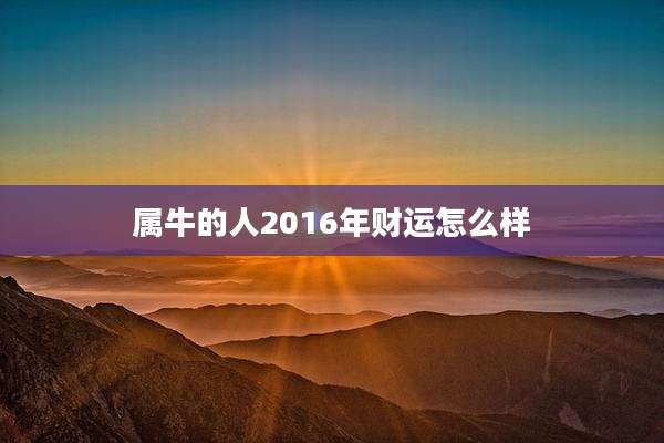 属牛的人2016年财运怎么样