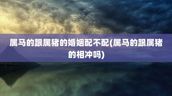 属马的跟属猪的婚姻配不配(属马的跟属猪的相冲吗)