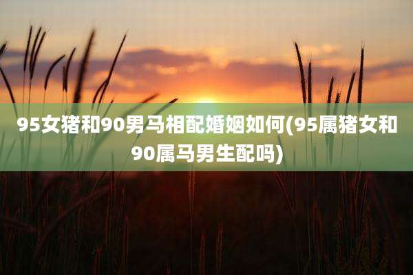 95女猪和90男马相配婚姻如何(95属猪女和90属马男生配吗)