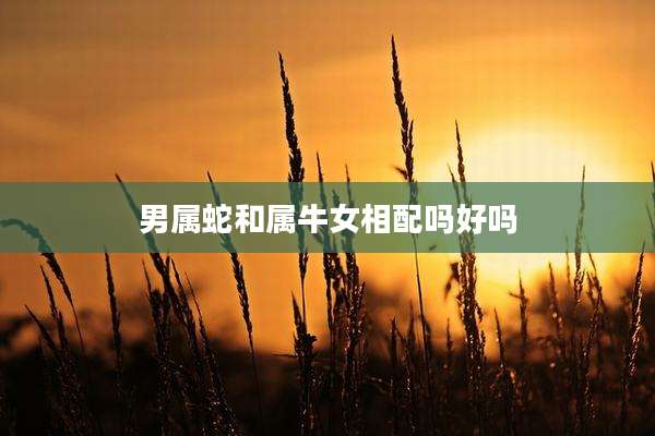 男属蛇和属牛女相配吗好吗