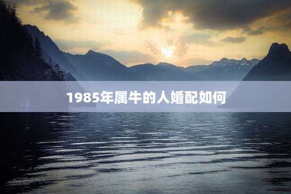 1985年属牛的人婚配如何