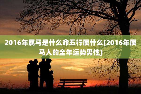 2016年属马是什么命五行属什么(2016年属马人的全年运势男性)