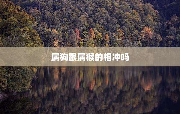 属狗跟属猴的相冲吗