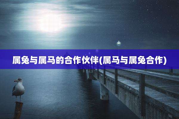 属兔与属马的合作伙伴(属马与属兔合作)