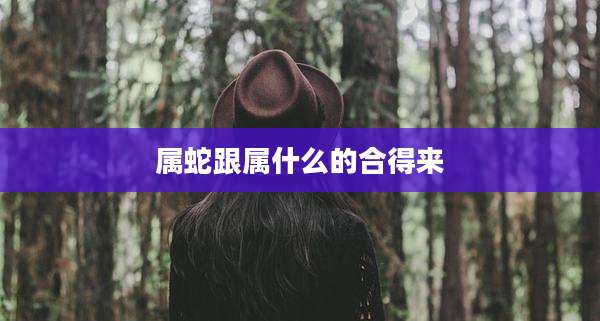 属蛇跟属什么的合得来